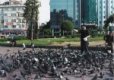 تركيا عام 2002